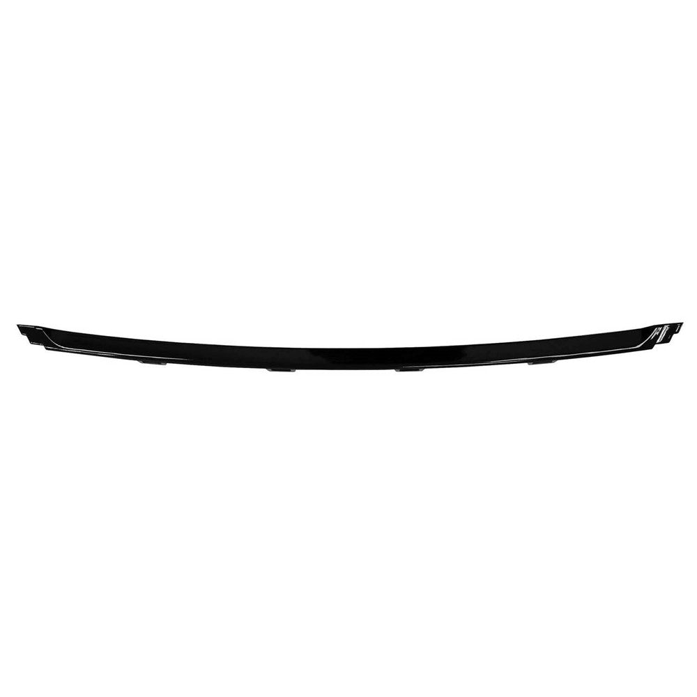 Front Center Bumper Cover Molding 2016-2019 Bmw 320i, 328i, 330i, 328i Xdrive, 320i Xdrive, 328d, 328d Xdrive, 328i Gt Xdrive, 335i Gt Xdrive, 330e