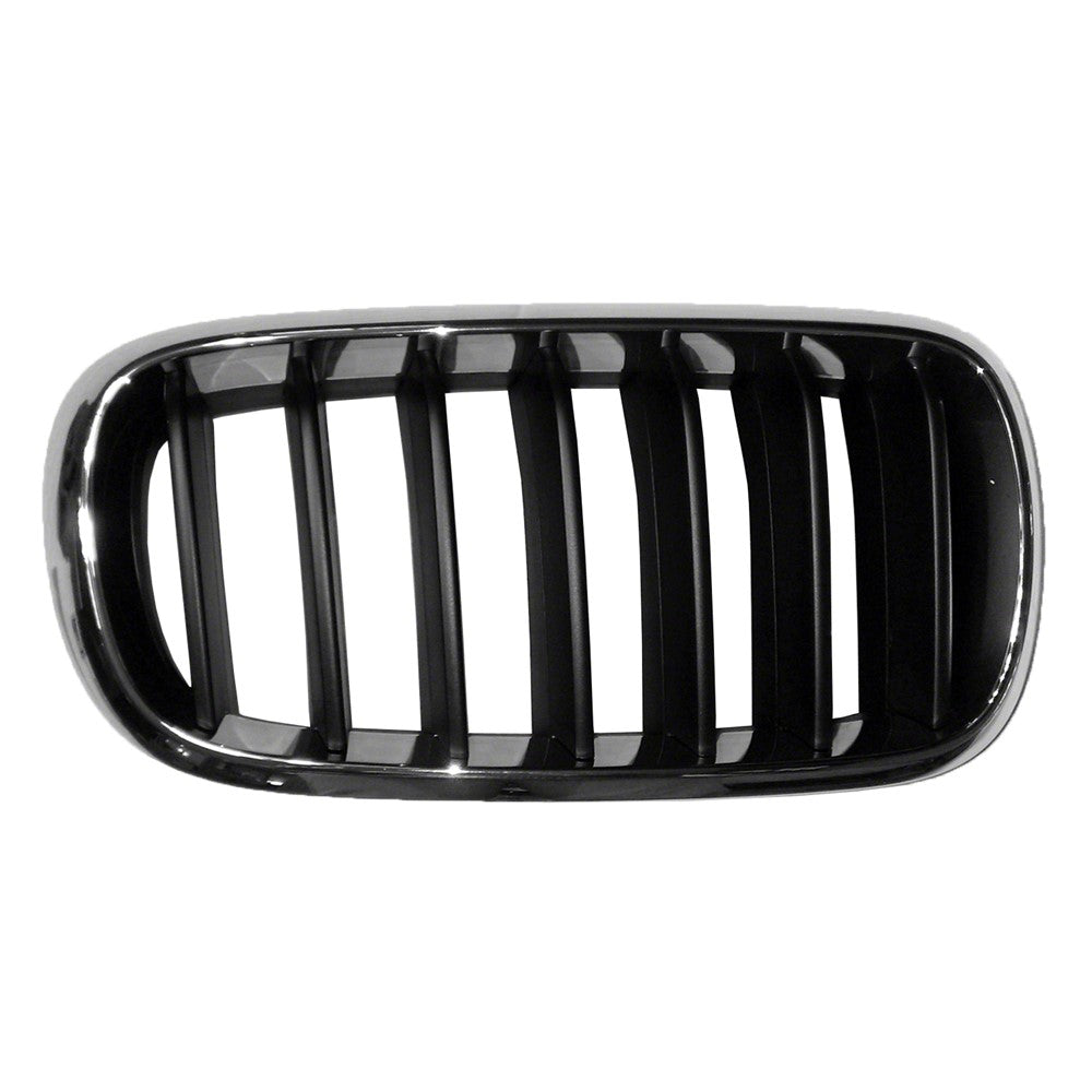 Right Passenger Side Grille 2014-2018 Bmw X5
