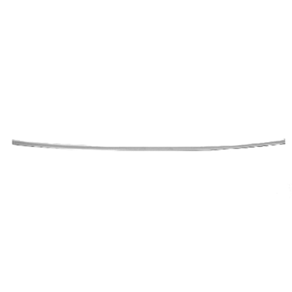 Rear Center Bumper Impact Strip 1998-2002 Lincoln Town Car