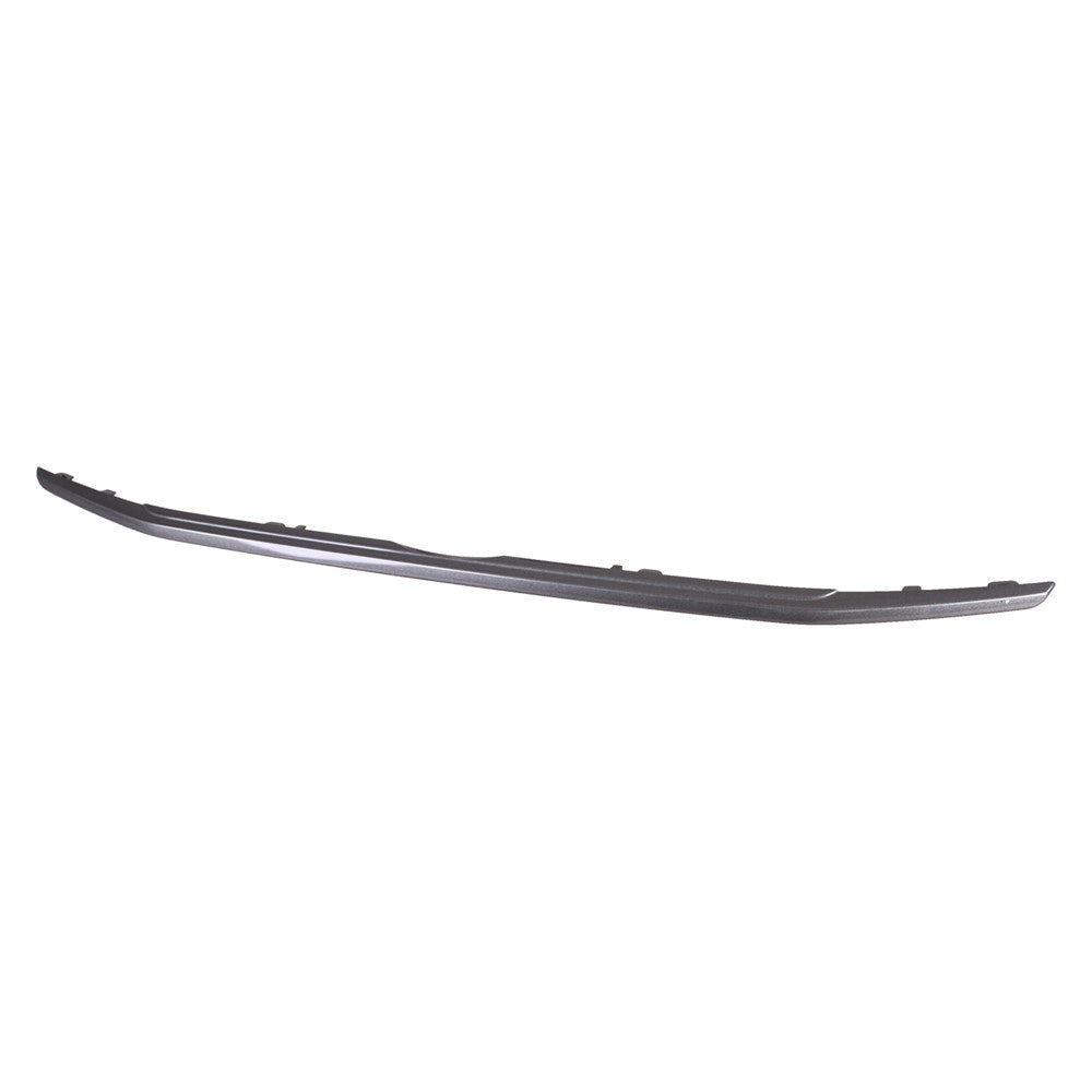 Lower Grille Molding 2018-2022 Ford Ecosport