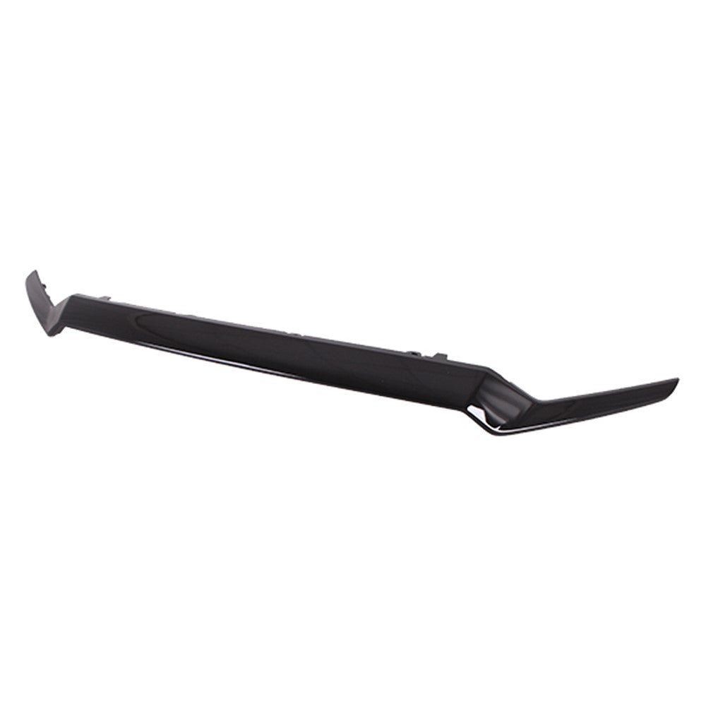 Upper Grille Molding 2021-2025 Honda Ridgeline, Passport