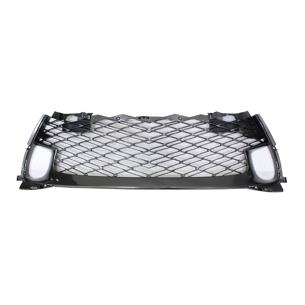 Front Lower Grille 2016-2020 Lexus Gs200t, Gs350, Gs450h, Gs300