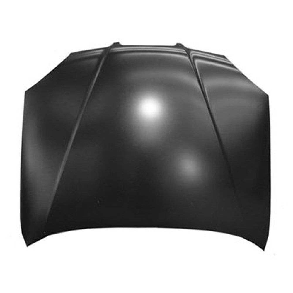 Front Hood 2004-2005 Suzuki Forenza