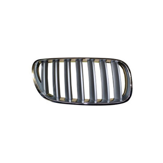 Front Right Front Passenger Side Grille 2007-2010 Bmw X3