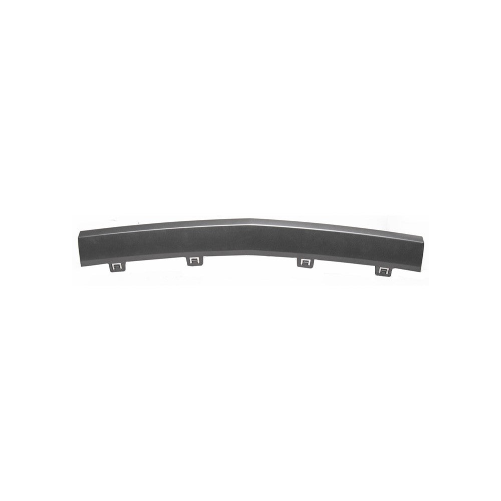 Front Center Bumper Cover Molding [opening Panel] Dark Horse 2024-2025 Ford Mustang