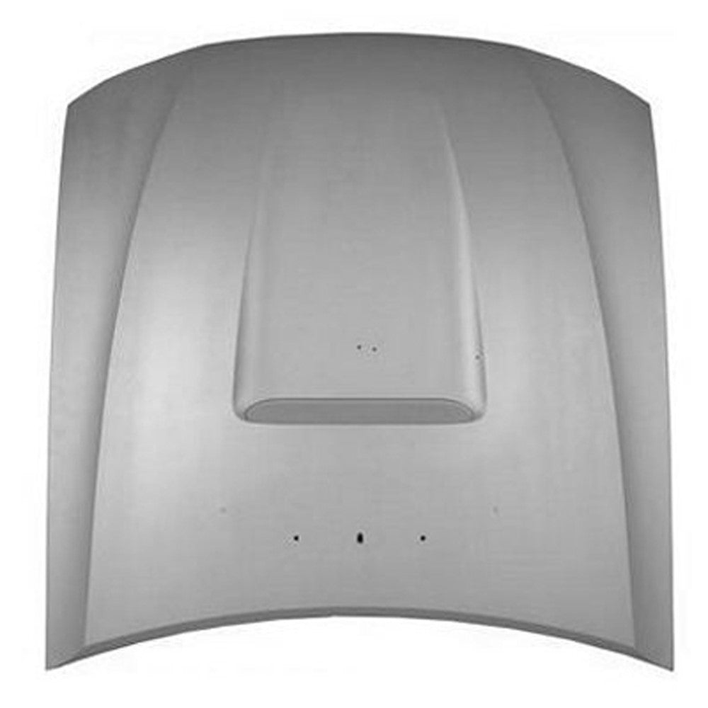 Front Hood 2001-2004 Ford Mustang