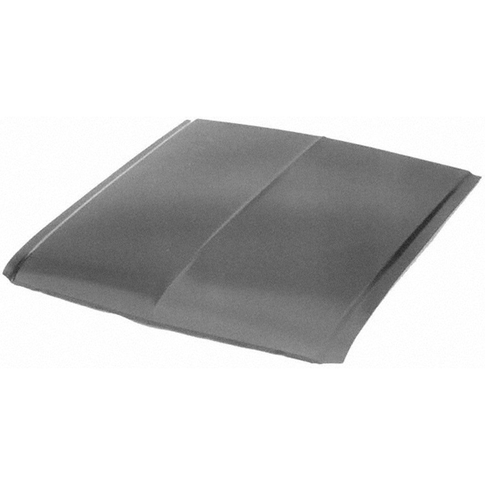 Hood Without Turn Signal Holes For All Models Except Shelby