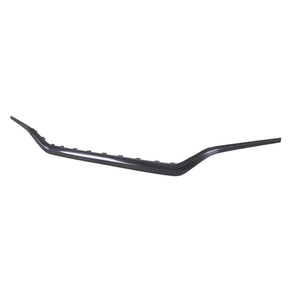 Front Bumper Cover Molding 2021-2023 Hyundai Santa Fe