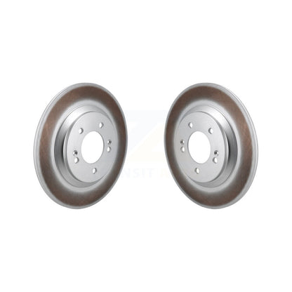 Coated Disc Brake Rotors Rear Pair For Hyundai Veloster N