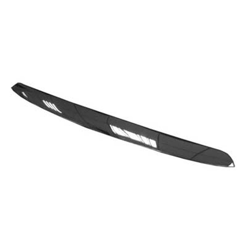 Front Hood Molding 2007-2009 Kia Spectra, Spectra5