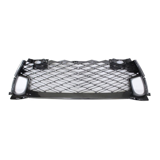 Front Lower Grille 2016-2020 Lexus Gs200t, Gs350, Gs450h, Gs300