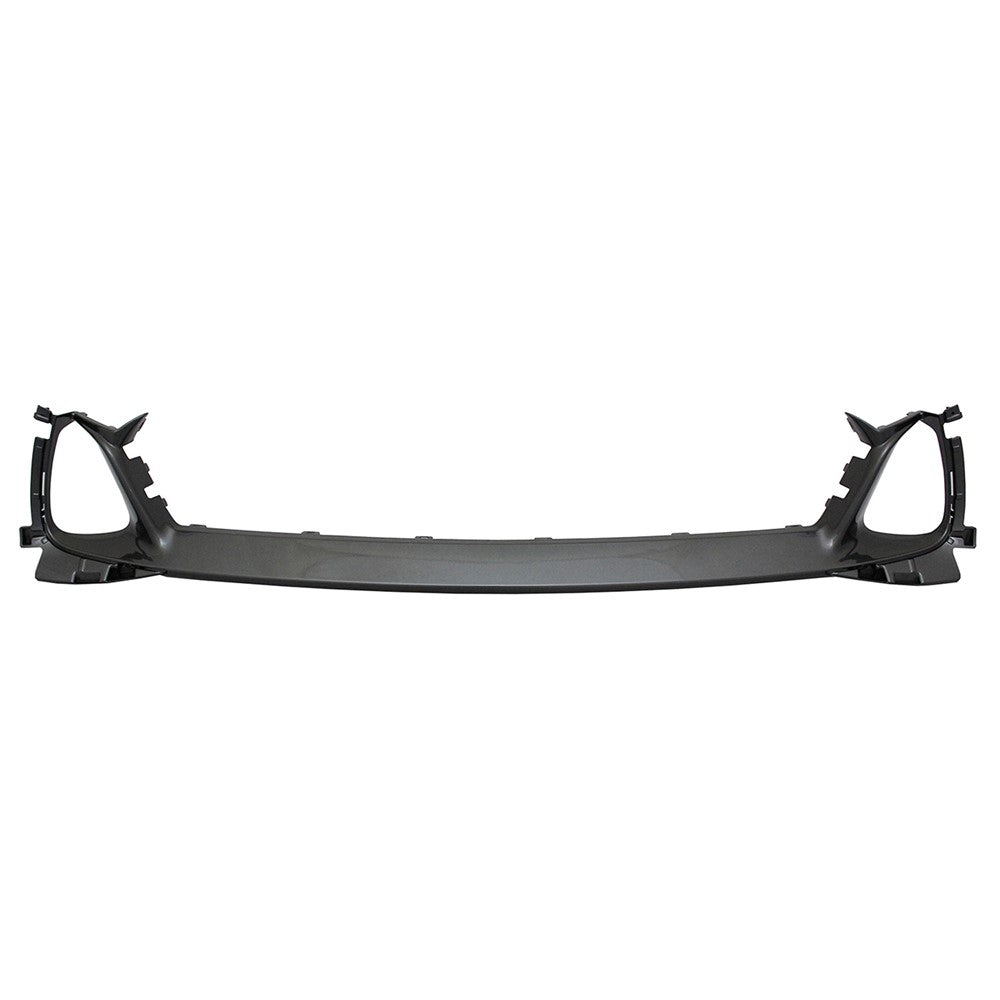 Lower Grille Molding 2016-2020 Lexus Gs200t, Gs350, Gs450h, Gs300