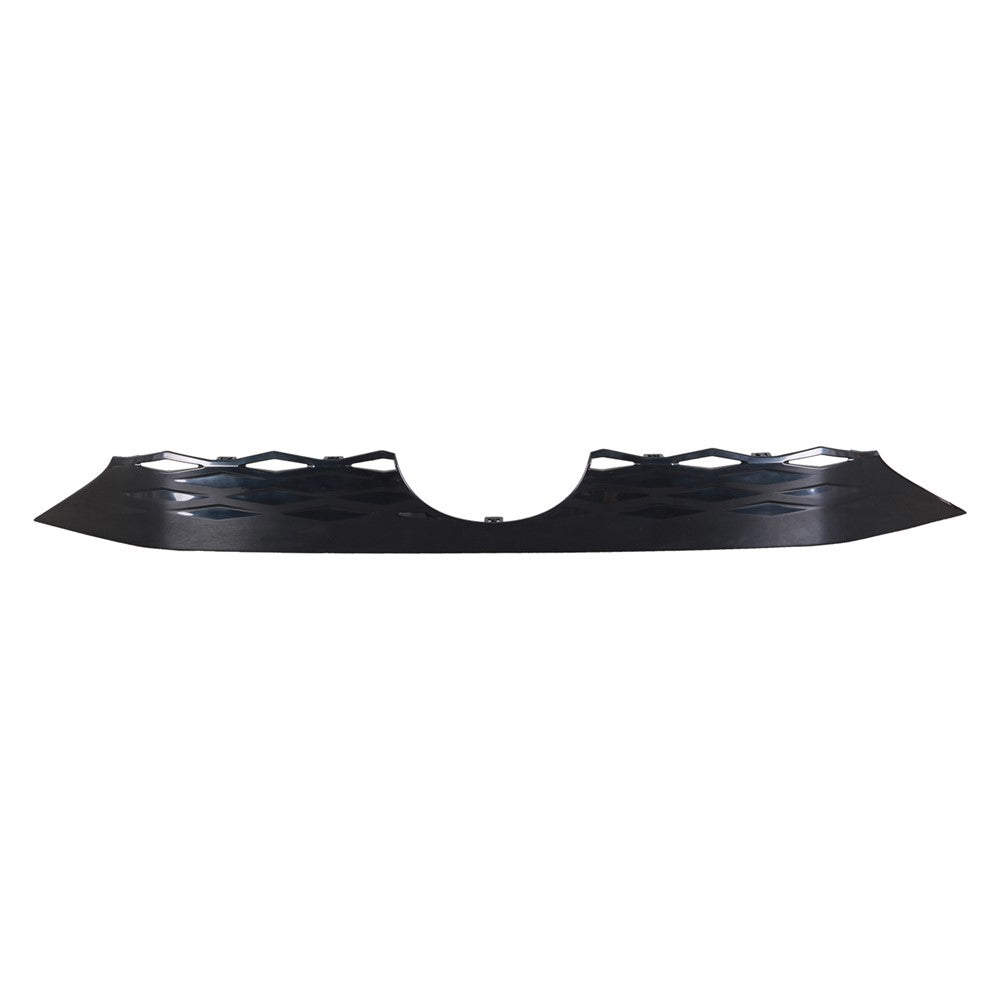 Upper Grille Molding 2023-2025 Lexus Rx350, Rx500h