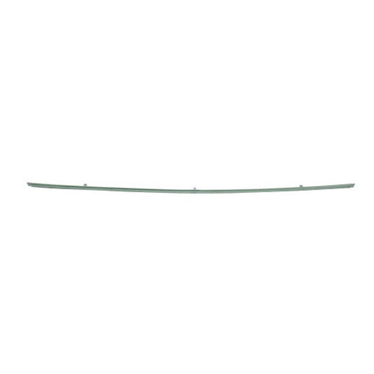 Rear Bumper Cover Center Molding 2003-2009 Mercedes-Benz Clk500, Clk55 Amg, Clk350, Clk550