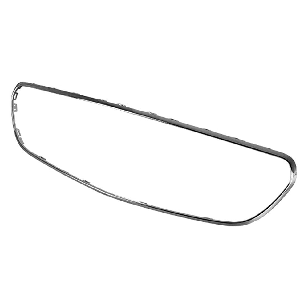 Outer Grille Molding 2017-2020 Mercedes-Benz E300, E400, E450, E350