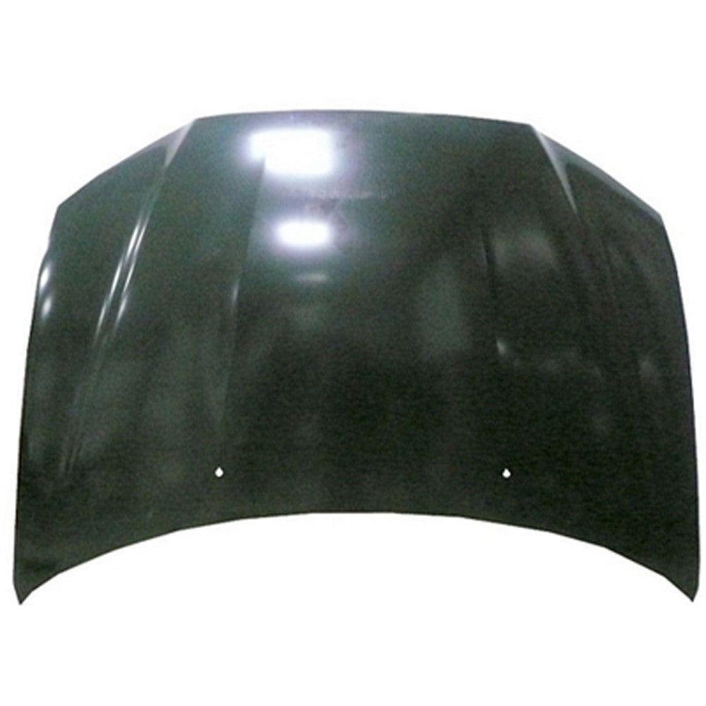 Front Hood 2011-2019 Mitsubishi Outlander Sport, Rvr