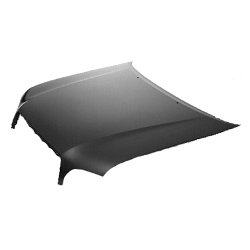 Front Hood 2000-2007 Toyota Tundra, Sequoia